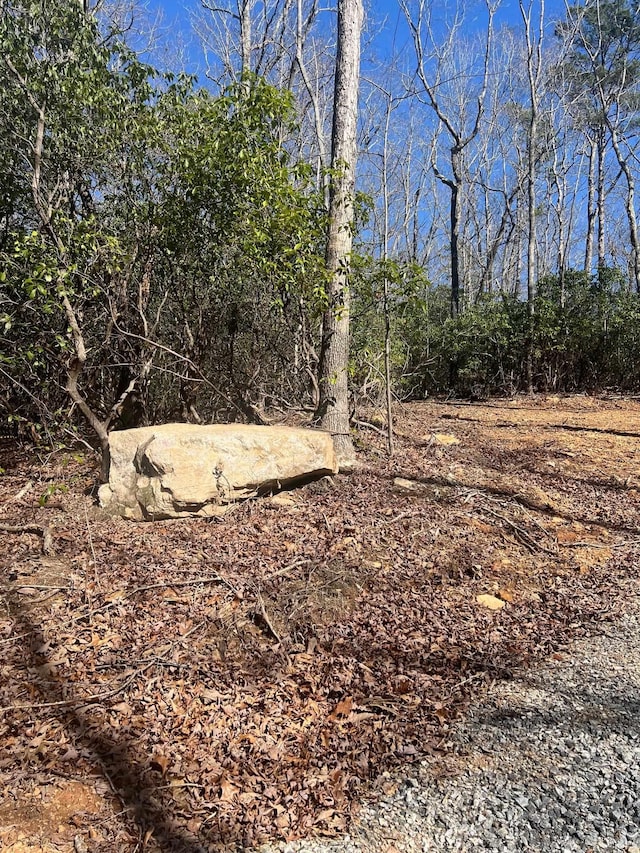 0000 E Lakeshore Dr, Landrum, SC 29356 - photo 4