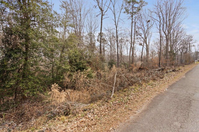 355 Bluebird Ln, Spartanburg, SC 29303 - photo 14