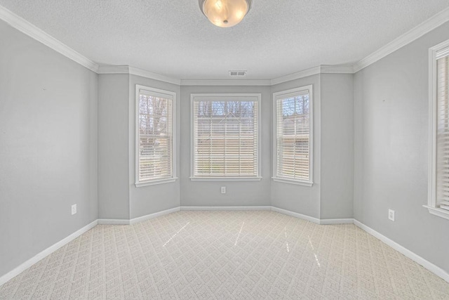 106 Brandi Starr Ct, Greer, SC 29651 - carpeted spare room featuring plenty of natural light, a textured ceiling, and crown molding
