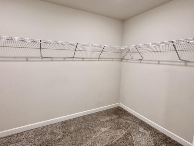 637 Grays Creek Rd, Spartanburg, SC 29303 - spacious closet with carpet floors