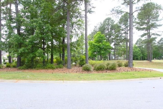 606 Grand Harbor Blvd, Ninety Six, SC 29666 - photo 12