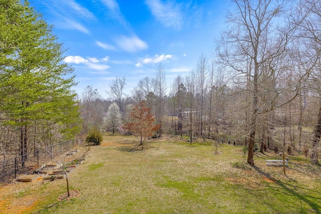 142 Hawk Nest Ln, Campobello, SC 29322 - photo 39