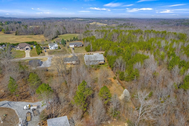 142 Hawk Nest Ln, Campobello, SC 29322 - photo 43