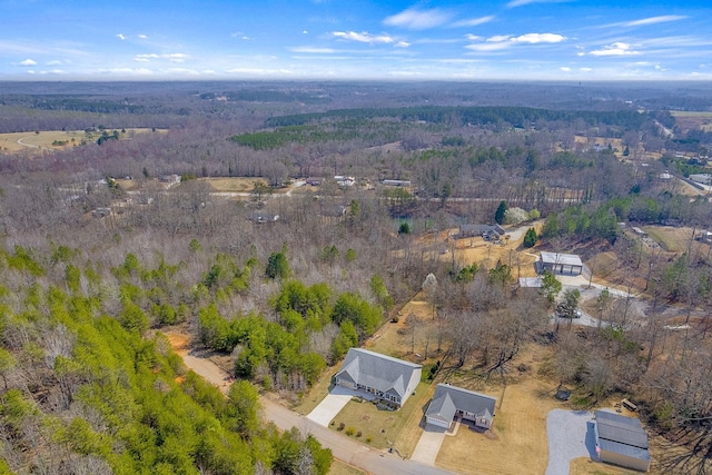 142 Hawk Nest Ln, Campobello, SC 29322 - photo 44