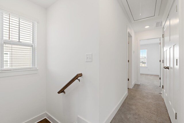 149 Dalmatian Dr, Spartanburg, SC 29307 - photo 28