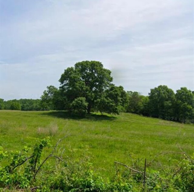 Carolina Ridge Rd, Gaffney, SC 29340 - photo 3