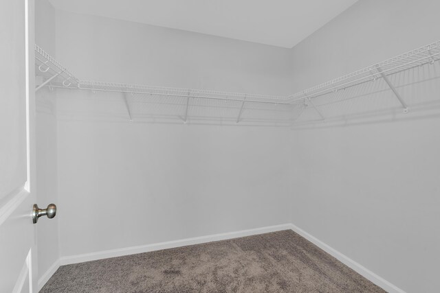 464 Grantham Ct, Spartanburg, SC 29303 - photo 20