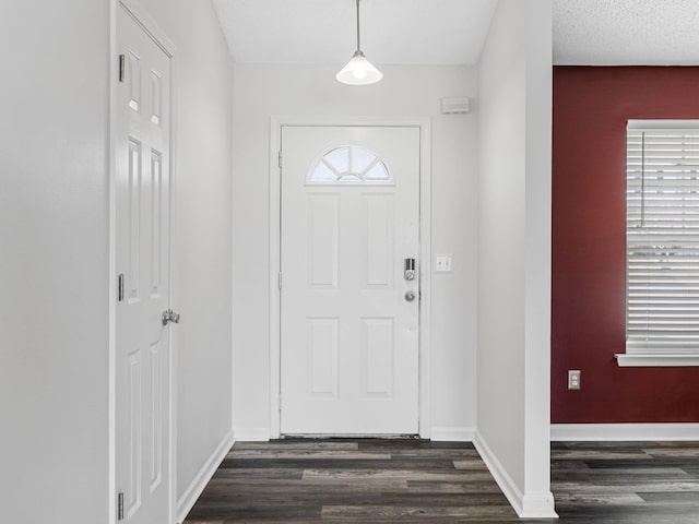 461 Candleglow Dr, Boiling Springs, SC 29316 - entryway with dark wood finished floors and plenty of natural light