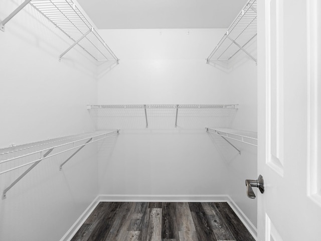 461 Candleglow Dr, Boiling Springs, SC 29316 - walk in closet featuring dark wood-style floors