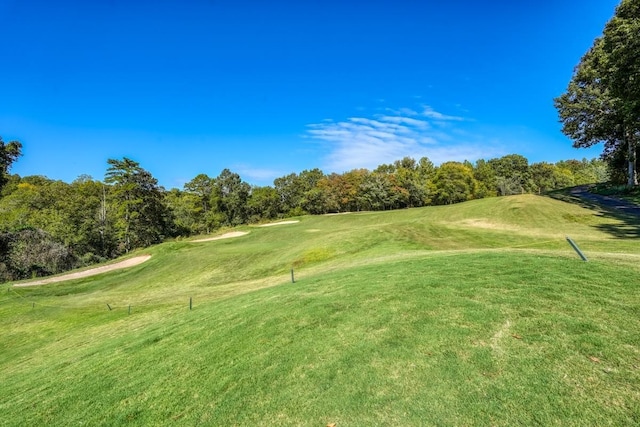 749 W Tara Ln, Duncan, SC 29334 - photo 4