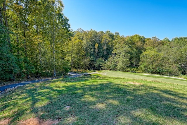 749 W Tara Ln, Duncan, SC 29334 - photo 6