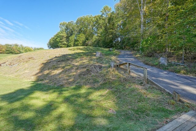 749 W Tara Ln, Duncan, SC 29334 - photo 8