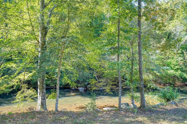 749 W Tara Ln, Duncan, SC 29334 - photo 9
