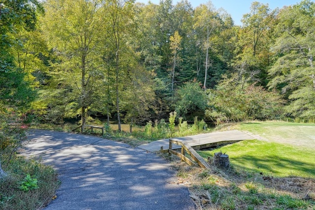 749 W Tara Ln, Duncan, SC 29334 - photo 11