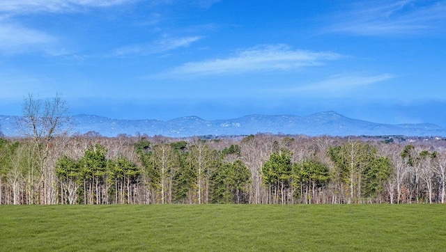 110 Sunriff Ct, Greer, SC 29651 - mountain view featuring a heavily wooded area