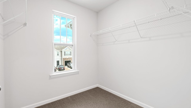 110 Sunriff Ct, Greer, SC 29651 - spacious closet with dark colored carpet