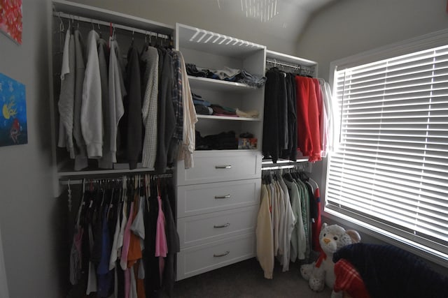 190 Colfax Dr, Boiling Springs, SC 29316 - walk in closet with carpet