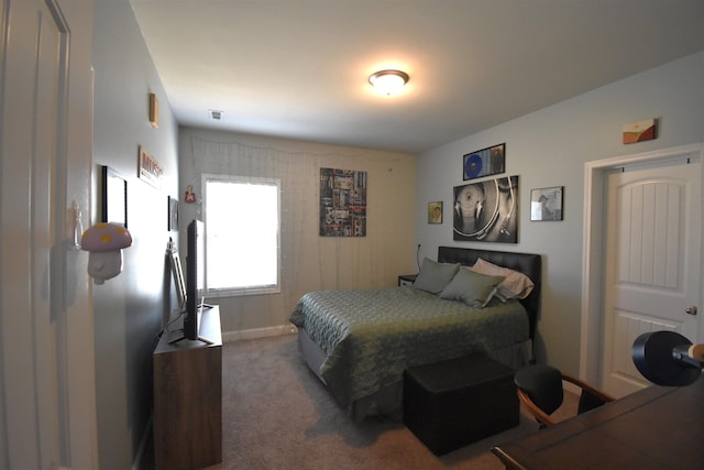 190 Colfax Dr, Boiling Springs, SC 29316 - view of carpeted bedroom