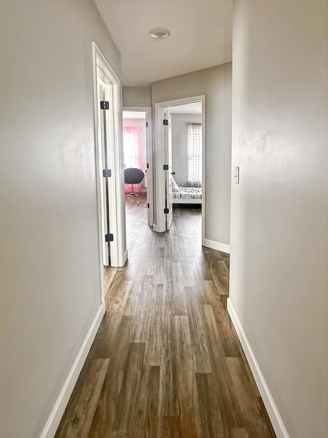 739 Shelburne Ln, Lyman, SC 29365 - hall featuring baseboards and wood finished floors