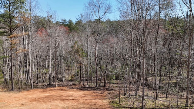 19.75ACRES King Stepp Rd, Columbus, NC 28756