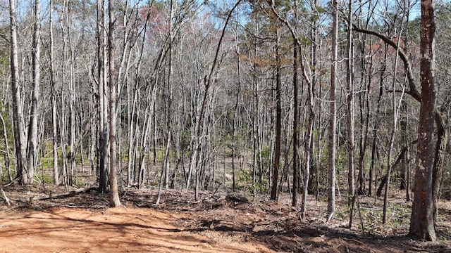 19.75ACRES King Stepp Rd, Columbus, NC 28756