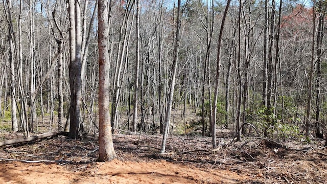 19.75ACRES King Stepp Rd, Columbus, NC 28756