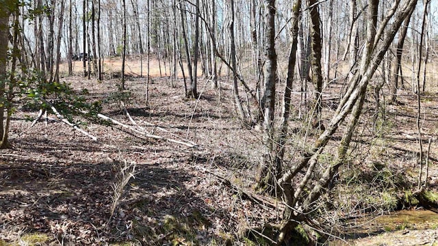 19.75ACRES King Stepp Rd, Columbus, NC 28756