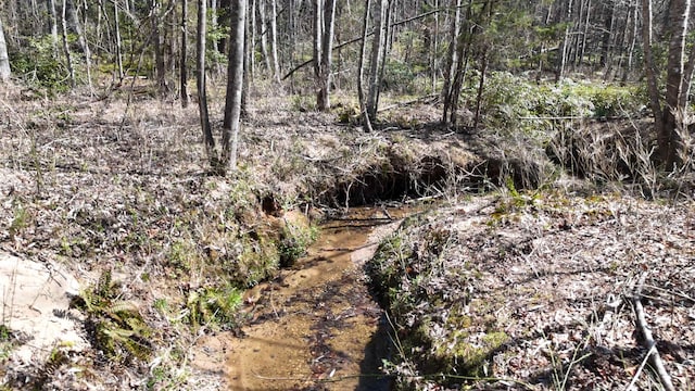 19.75ACRES King Stepp Rd, Columbus, NC 28756