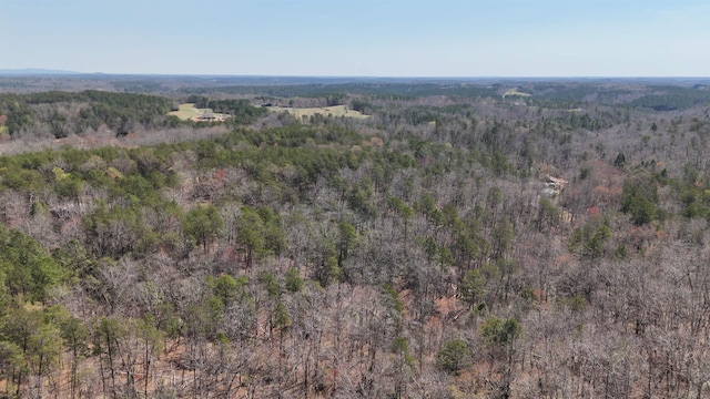 19.75ACRES King Stepp Rd, Columbus, NC 28756