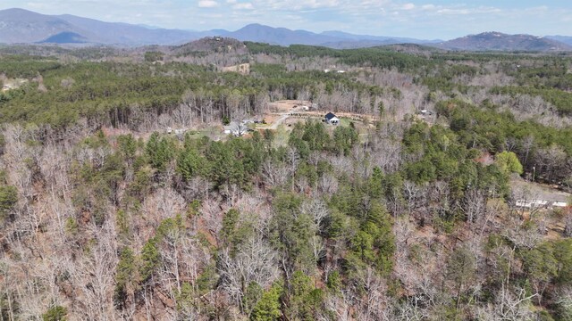 19.75ACRES King Stepp Rd, Columbus, NC 28756