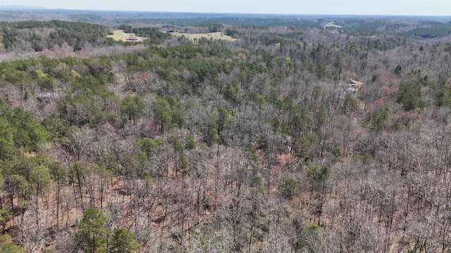19.75ACRES King Stepp Rd, Columbus, NC 28756