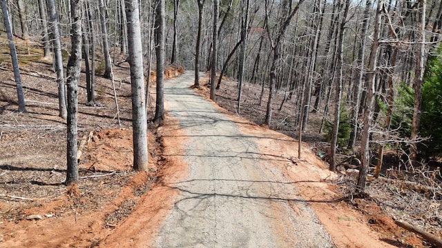 19.75ACRES King Stepp Rd, Columbus, NC 28756