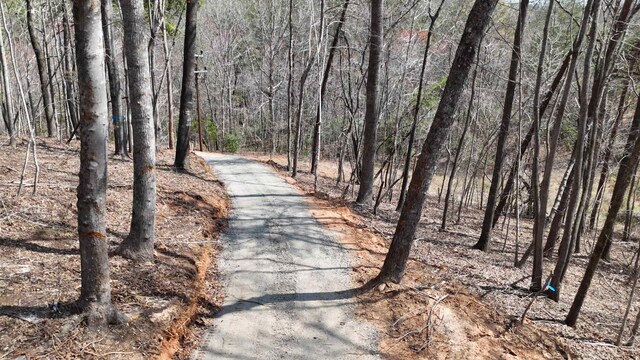 19.75ACRES King Stepp Rd, Columbus, NC 28756