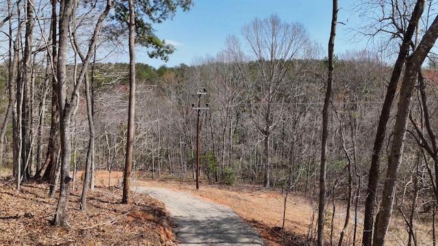 19.75ACRES King Stepp Rd, Columbus, NC 28756