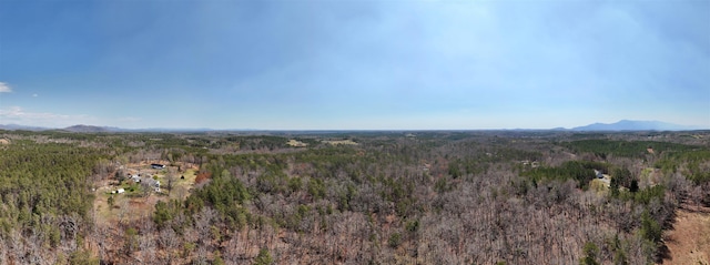 19.75ACRES King Stepp Rd, Columbus, NC 28756