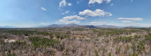 19.75ACRES King Stepp Rd, Columbus, NC 28756