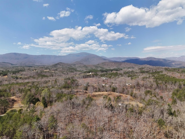 19.75ACRES King Stepp Rd, Columbus, NC 28756