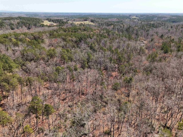 19.75ACRES King Stepp Rd, Columbus, NC 28756
