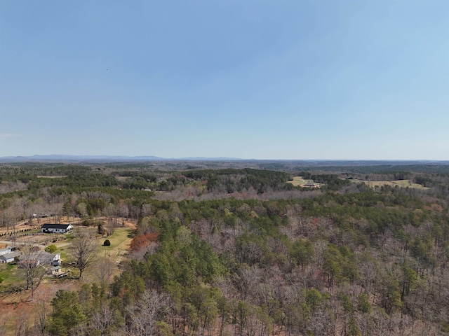 19.75ACRES King Stepp Rd, Columbus, NC 28756
