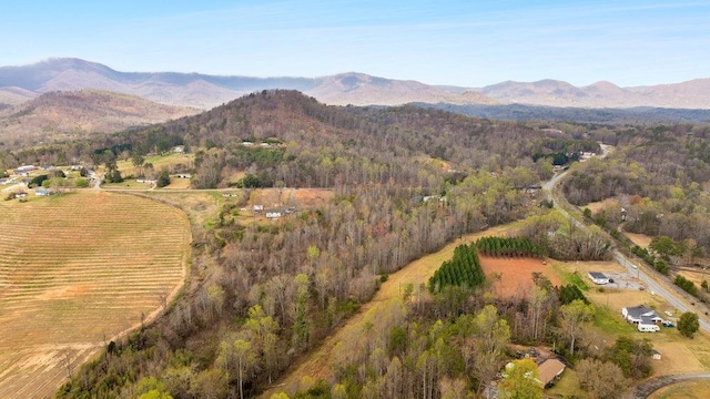 0 N Blackstock Rd, Landrum, SC 29356 - photo 2
