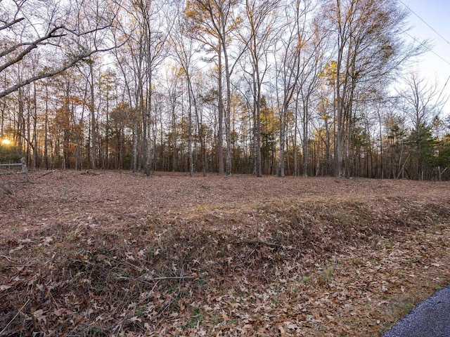 0 Marshall Tucker Rd, Pauline, SC 29374