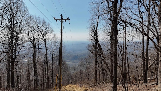 1.1ACRE Blockaders Den Rd, Columbus, NC 28722