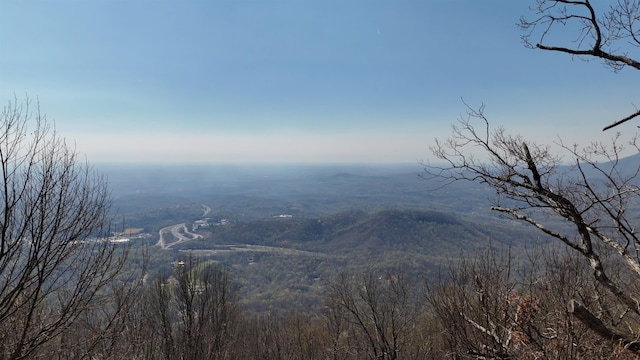 1.1ACRE Blockaders Den Rd, Columbus, NC 28722