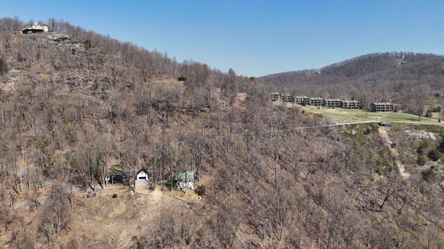1.1ACRE Blockaders Den Rd, Columbus, NC 28722