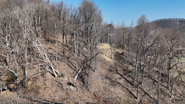 1.1ACRE Blockaders Den Rd, Columbus, NC 28722