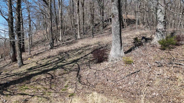 1.1ACRE Blockaders Den Rd, Columbus, NC 28722