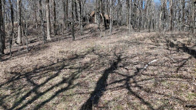 1.1ACRE Blockaders Den Rd, Columbus, NC 28722