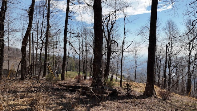 1.1ACRE Blockaders Den Rd, Columbus, NC 28722