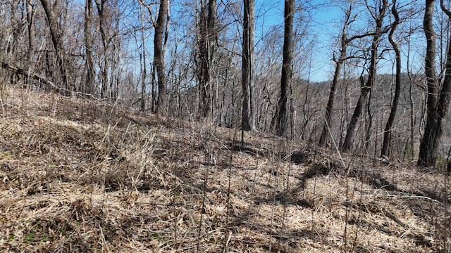 1.1ACRE Blockaders Den Rd, Columbus, NC 28722