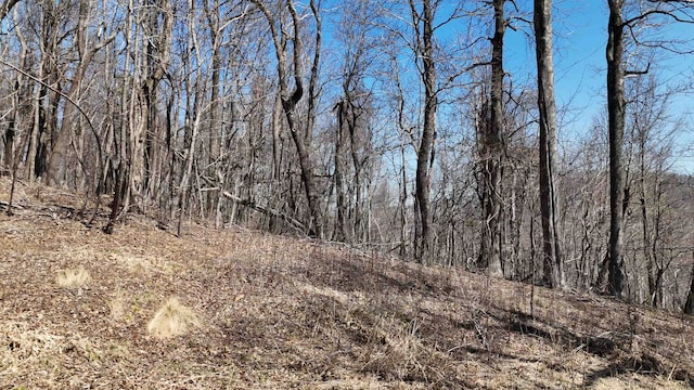 1.1ACRE Blockaders Den Rd, Columbus, NC 28722